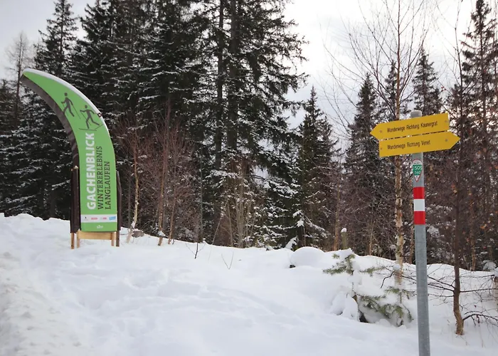 Burg Biedenegg- Niedermontani By Interhome Apartment