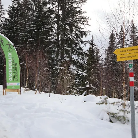 Burg Biedenegg- Niedermontani By Interhome Apartmán